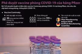 [Infographics] Phê duyệt vaccine ngừa COVID-19 của Pfizer/BioNTech