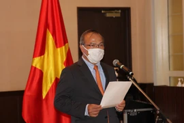 Đại sứ Việt Nam tại Nhật Bản Vũ Hồng Nam phát biểu tại cuộc họp báo. (Ảnh: Đào Thanh Tùng/TTXVN)