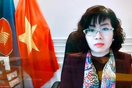 Đại sứ Lê Thị Hồng Vân, Trưởng Phái đoàn thường trực Việt Nam bên cạnh UNESCO tham dự Hội nghị. (Ảnh: TTXVN phát)