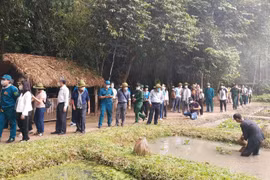 TP Hồ Chí Minh thí điểm mở tour du lịch Cần Giờ, Củ Chi để tri ân các lực lượng tuyến đầu chống dịch. (Nguồn: baotintuc.vn)