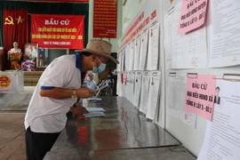 Cử tri Mão Điền (Bắc Ninh) tìm hiểu về danh sách người ứng cử Đại biểu Quốc hội và HĐND các cấp. (Ảnh: Thanh Thương/TTXVN)