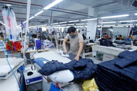 Ảnh minh họa. (Nguồn: TTXVN)