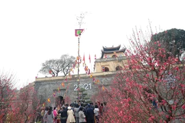 Dựng cây nêu ngày Tết tại Hoàng thành Thăng Long, Hà Nội. (Ảnh: Thanh Tùng/TTXVN)