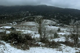 Tuyết rơi phủ trắng làng bản tại xã Y Tý, huyện Bát Xát. (Ảnh: Quốc Khánh/TTXVN)