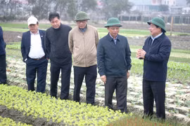 Thứ trưởng Lê Quốc Doanh yêu cầu ngành Nông nghiệp và chính quyền địa phương cùng như bà con nông dân tập trung triển khai sản xuất, gieo trồng đúng lịch thời vụ, đảm bảo vụ mùa thắng lợi. (Ảnh: Võ Dung/TTXVN)