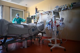 Nhân viên y tế điều trị cho bệnh nhân COVID-19 tại bệnh viện ở Paris, Pháp. (Ảnh: AFP/TTXVN)