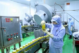 Dây chuyền đóng lọ ớt xuất khẩu tại nhà máy chế biến của Công ty CP chế biến thực phẩm xuất khẩu GOC tại Bắc Giang. (Ảnh: Vũ Sinh/TTXVN)