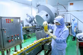 Dây chuyền đóng lọ ớt xuất khẩu tại nhà máy chế biến của Công ty CP chế biến thực phẩm xuất khẩu GOC tại Bắc Giang. (Ảnh: Vũ Sinh/TTXVN)