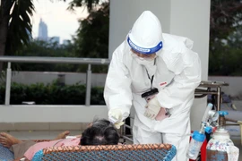 Ảnh minh họa. (Nguồn: TTXVN)