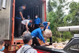 Các mặt hàng thực phẩm thiết yếu như rau, củ, quả, nhu yếu phẩm phục vụ lực lượng tuyến đầu chống dịch bệnh. (Ảnh TTXVN phát)