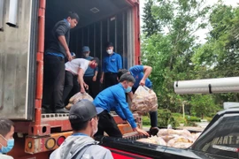 Các mặt hàng thực phẩm thiết yếu như rau, củ, quả, nhu yếu phẩm phục vụ lực lượng tuyến đầu chống dịch bệnh. (Ảnh TTXVN phát)
