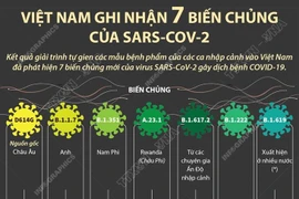 [Infographics] Việt Nam ghi nhận 7 biến chủng của SARS-CoV-2