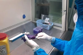 Xét nghiệm chẩn đoán COVID-19 bằng kỹ thuật Realtime PCR. (Ảnh: Lê Thúy Hằng/TTXVN)