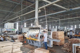 Sản xuất hàng xuất khẩu tại Công ty TNHH MTV Triệu Phú Lộc, Bình Dương. (Ảnh: TTXVN)