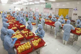 Chế biến sản phẩm dứa đóng hộp tại nhà máy của Công ty CP xuất nhập khẩu nông sản An Giang. (Ảnh: TTXVN)