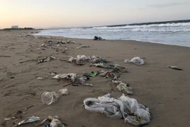 Rác thải tại bãi biển thuộc phường 6, thành phố Tuy Hòa, Phú Yên tháng 10/2019. (Ảnh: Phạm Cường/TTXVN)