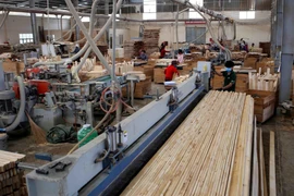 Sản xuất gỗ xuất khẩu tại Công ty TNHH khai thác, chế biến lâm sản Đà Lạt (Lâm Đồng). (Ảnh: TTXVN)