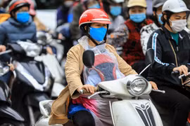 (Ảnh: Thành Đạt/TTXVN)