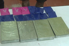 Tang vật ma túy trong một vụ án. Ảnh minh họa. (Nguồn: TTXVN phát)