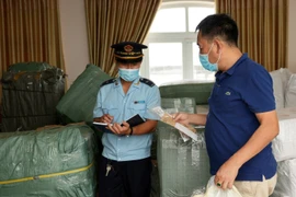 Hoạt động nghiệp vụ của công chức hải quan Thành phố Hồ Chí Minh. (Ảnh: TTXVN phát)