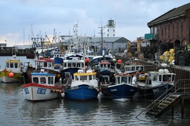 Tàu cá neo ở cảng Scarborough, Đông Bắc Anh ngày 4/1/2021. (Ảnh: AFP/TTXVN)