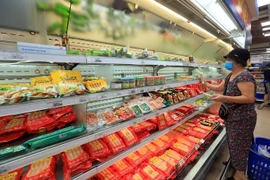 Ảnh minh họa. (Nguồn: TTXVN)