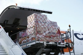 Vaccine ngừa COVID-19 được phân phối theo cơ chế COVAX tại Tbilisi, Gruzia, ngày 13/3/2021. (Ảnh: THX/TTXVN)