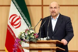 Chủ tịch Quốc hội Iran Mohammad Baqer Qalibaf. (Ảnh: Icana/TTXVN)