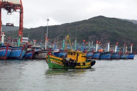 Hơn 5.800 tàu cá của ngư dân Bình Định đã vào trú ẩn an toàn tại các cảng cá, âu thuyền. (Ảnh: Nguyên Linh/TTXVN)