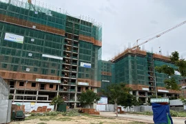 Ảnh minh họa. (Nguồn: TTXVN)