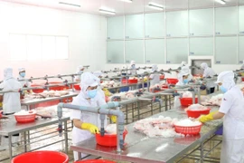 Thực hiện giãn cách trong khu vực chế biến thủy sản của Công ty cổ phần Kinh doanh Thủy hải sản Sài Gòn tháng 7/2021. (Ảnh: Xuân Anh - TTXVN)