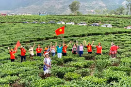 Ảnh minh họa. (Nguồn: CTV/Vietnam+)