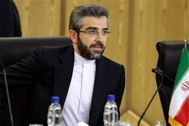  Thứ trưởng Ngoại giao đồng thời là Trưởng đoàn đàm phán hạt nhân Iran Ali Bagheri Kani. (Ảnh: IRNA/TTXVN)