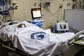 Bệnh nhân COVID-19 được điều trị tại một bệnh viện ở thành phố Idlib, Syria ngày 18/8/2021. (Ảnh: IMAGO/ZUMA Wire/TTXVN)