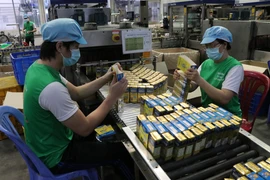 Công nhân Công ty Cổ phần thực phẩm dinh dưỡng Nutifood Bình Dương. (Ảnh: Dương Chí Tưởng/TTXVN)
