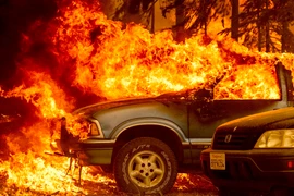 Khói lửa cháy rừng bốc ngùn ngụt tại Greenville, California (Mỹ) ngày 5/8/2021. (Ảnh: AFP/TTXVN)