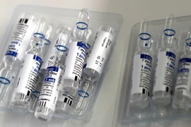 Vaccine ngừa COVID-19 Sputnik V của Nga. (Ảnh: AFP/TTXVN)