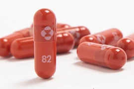 Thuốc Molnupiravir do hãng dược phẩm Merck và đối tác Ridgeback Biotherapeutics của Mỹ phối hợp phát triển. (Ảnh: News Emory/TTXVN)