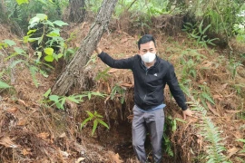 Vết nứt rộng 0,7m, người lớn có thể đứng lọt. (Ảnh: Trịnh Duy Hưng/TTXVN)