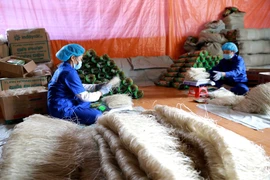 Miến dong - sản phẩm OCOP 4 sao đầu tiên của Bắc Kạn được xuất khẩu sang Cộng hòa Séc và các nước thuộc EU. (Ảnh: Vũ Sinh/TTXVN)