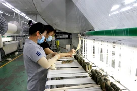 Công nhân sản xuất tại Công ty TNHH MTV SIGMA (Khu công nghiệp Đức Hòa III- Anh Hồng, huyện Đức Hòa, Long An. (Ảnh: Bùi Giang/TTXVN)