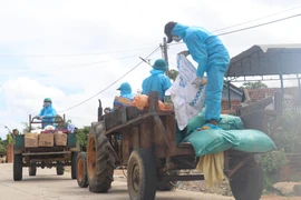 Thầy Ksor Y Chét, sinh năm 1984, giáo viên Trường Tiểu học, Trung học cơ sở Ea Trol, huyện Sông Hinh (đầu tiên bên phải) cùng cộng sự vận chuyển nhu yếu phẩm hỗ trợ bà con hai buôn Ly và buôn Bầu, xã Ea Trol. (Ảnh: Phạm Cường/TTXVN)