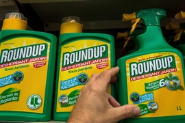 Thuốc diệt cỏ Roundup của Công ty hóa chất Mỹ Monsanto được bày bán tại một cửa hàng ở Lille, Pháp. (Ảnh: AFP/TTXVN)
