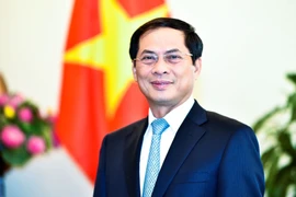 Thứ trường Thường trực Bộ Ngoại giao Bùi Thanh Sơn. (Ảnh: TTXVN phát)
