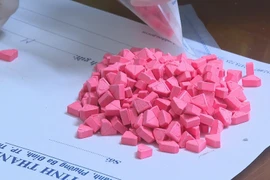 Tang vật ma túy đá trong một vụ án. (Ảnh: Trịnh Duy Hưng/TTXVN)