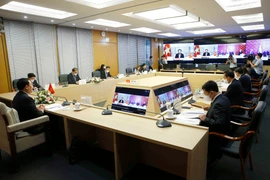 Quang cảnh hội đàm trực tuyến. (Ảnh: Doãn Tấn/TTXVN)