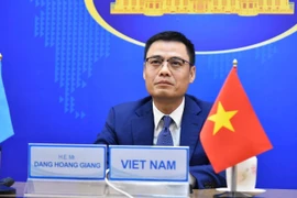 Thứ trưởng Ngoại giao Đặng Hoàng Giang. (Ảnh: TTXVN phát)