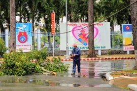 Thu dọn cành cây bị tét nhánh do dông lốc vào trưa 27/7 tại quận Ninh Kiều, Cần Thơ. (Ảnh: TTXVN phát)