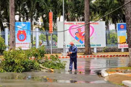 Thu dọn cành cây bị tét nhánh do dông lốc vào trưa 27/7 tại quận Ninh Kiều, Cần Thơ. (Ảnh: TTXVN phát)