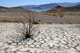 Khu vực đất khô nứt nẻ này từng là đáy hồ - nơi có bến thuyền trong Khu Giải trí Quốc gia Hồ Mead. (Nguồn: Getty)